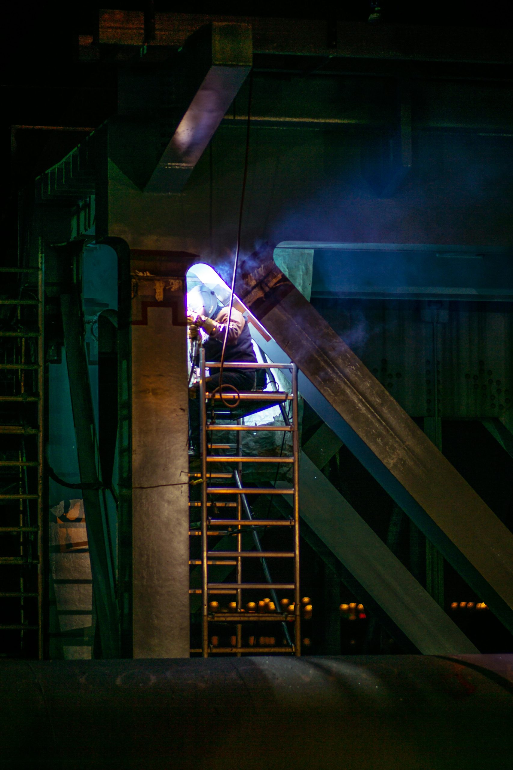 pexels-borkography-4494851